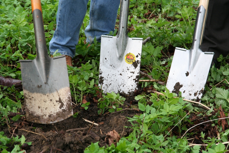 pepiniere-FALICON-min_work-lawn-flower-tool-green-backyard-1103633-pxhere.com